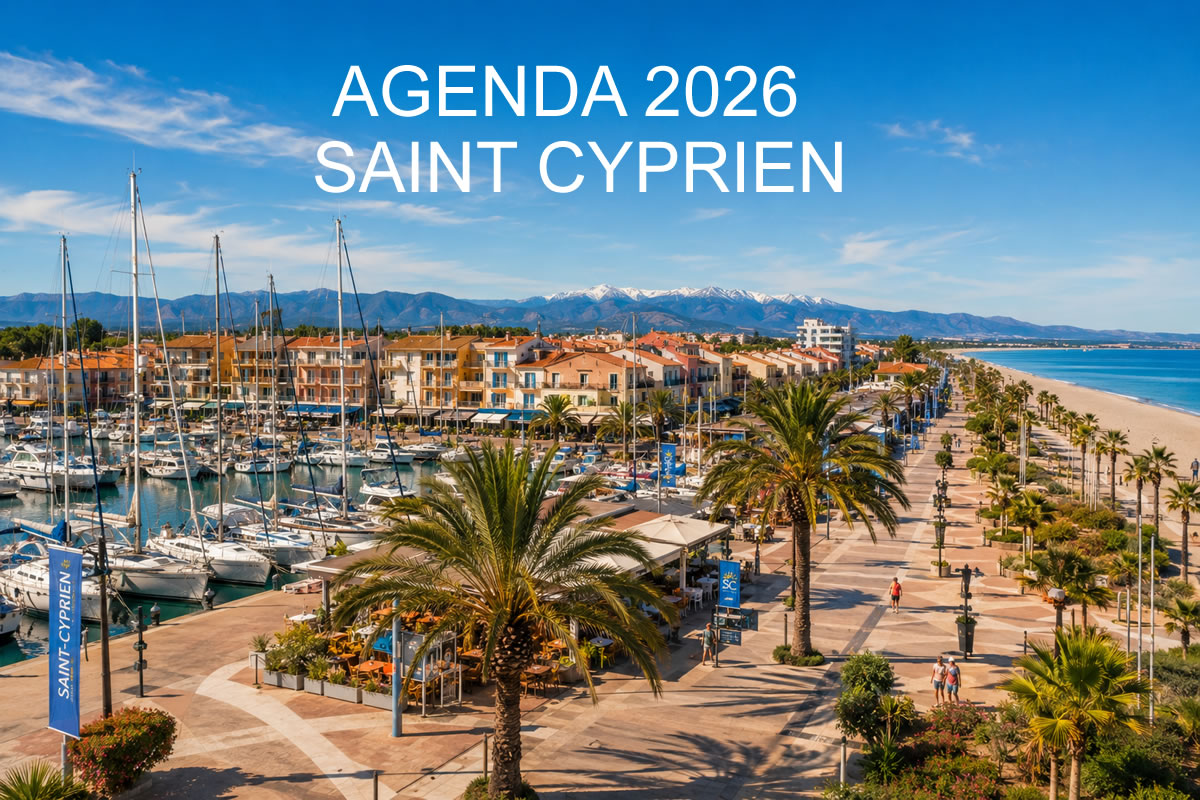 Port de plaisance de Saint-Cyprien avec voiliers, palmiers, promenade et plage