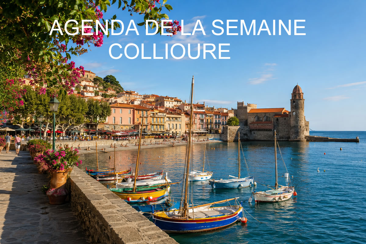 Vue réaliste de la baie de Collioure avec le clocher, les façades colorées, les barques catalanes et la promenade fleurie