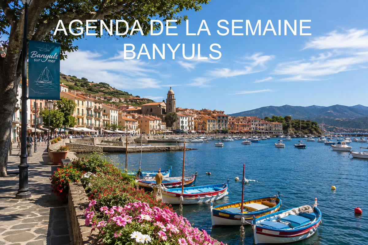 Vue réaliste de Banyuls-sur-Mer avec son port, ses vignobles en terrasses, la Méditerranée et les montagnes des Albères